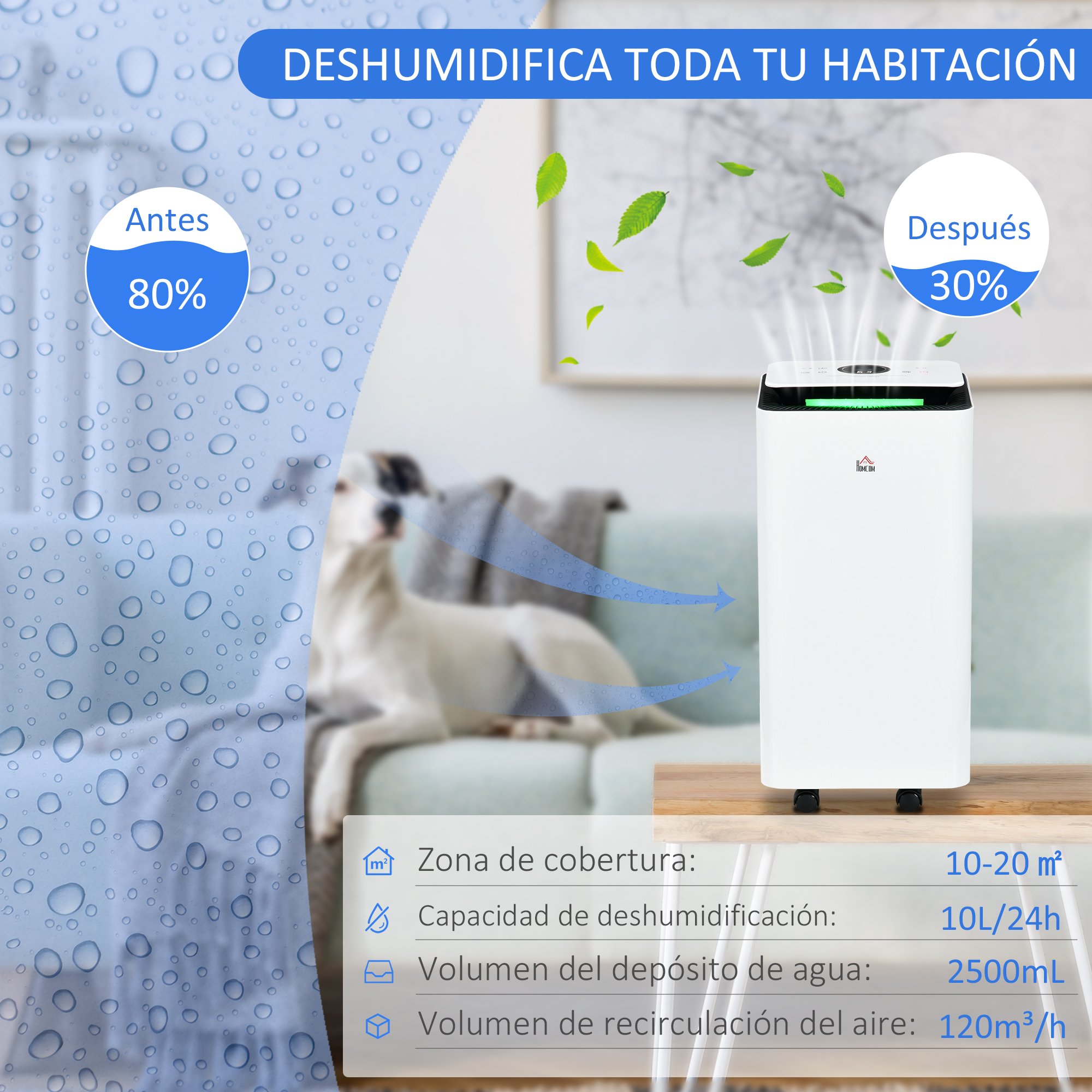 Un deshumidificador con un gráfico de antes y después que muestra el cambio de humedad del 80% al 30%.