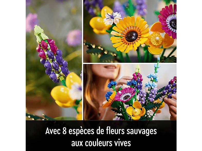 fee_786_587_png