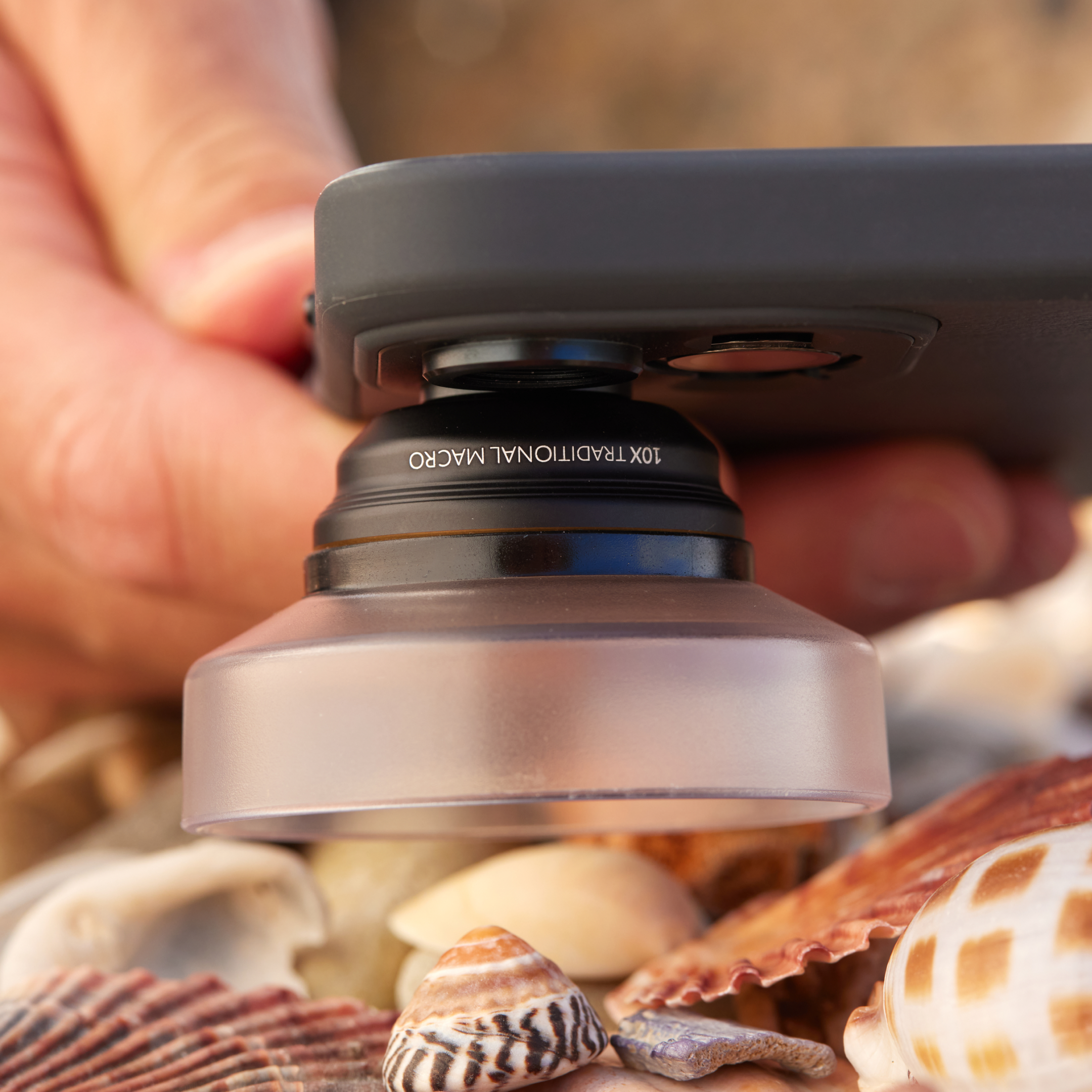 Ein Makroobjektiv an einem Telefon, mit Muscheln im unscharfen Hintergrund.