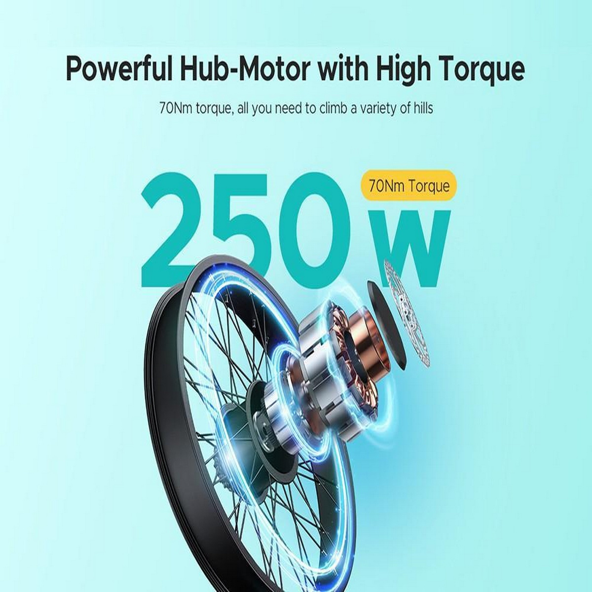 L'immagine mostra un motore nel mozzo da 250W, parte di una ruota di bicicletta, con dettagli tecnici.