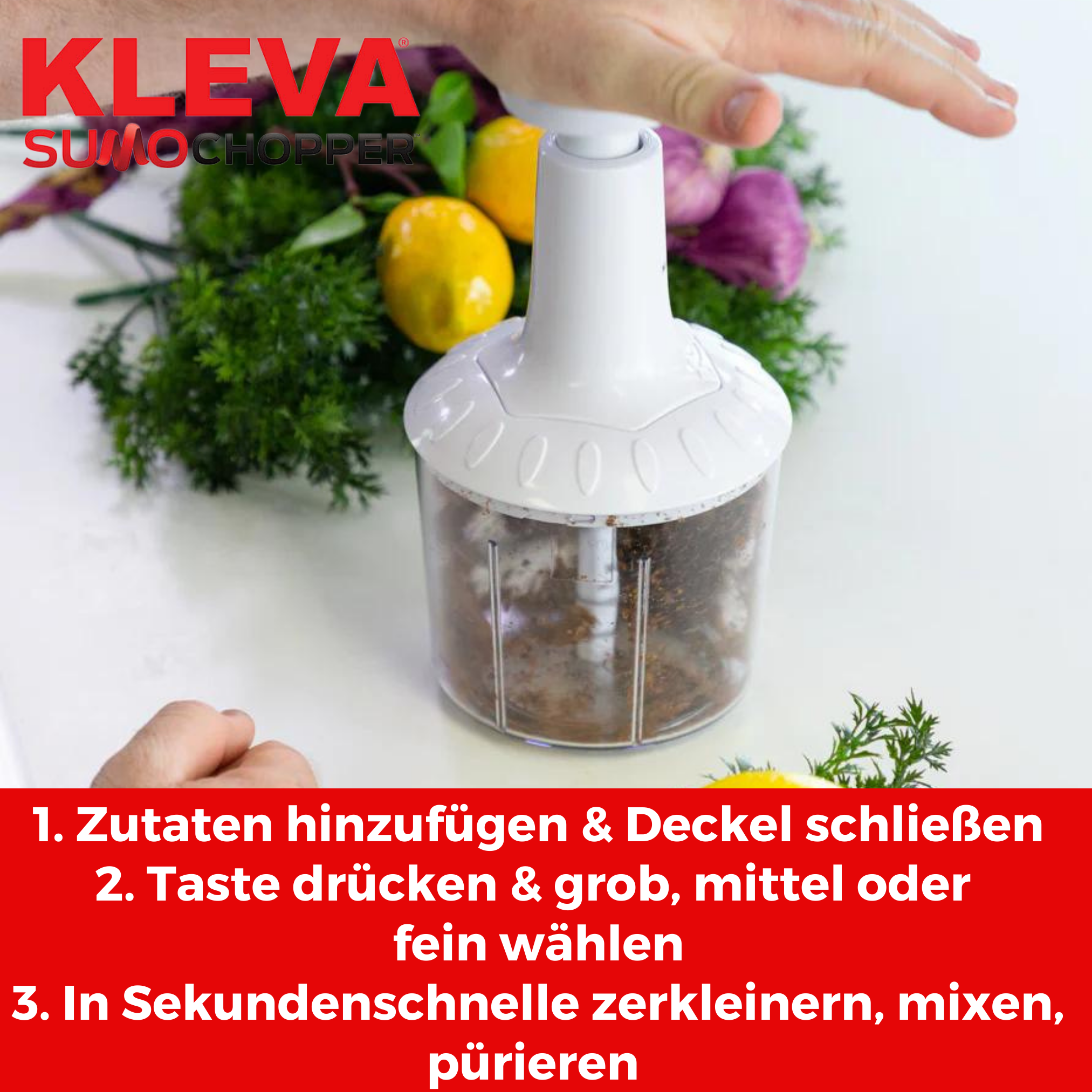 Ein Zerkleinerer mit Zutaten darin. Anweisungen auf einer roten Tafel werden gezeigt.