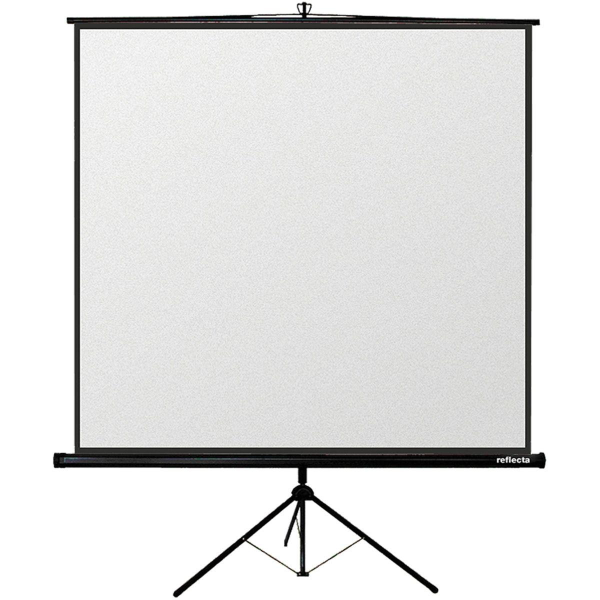 Eine weiße Projektionsleinwand auf einem Stativ, ist leer.