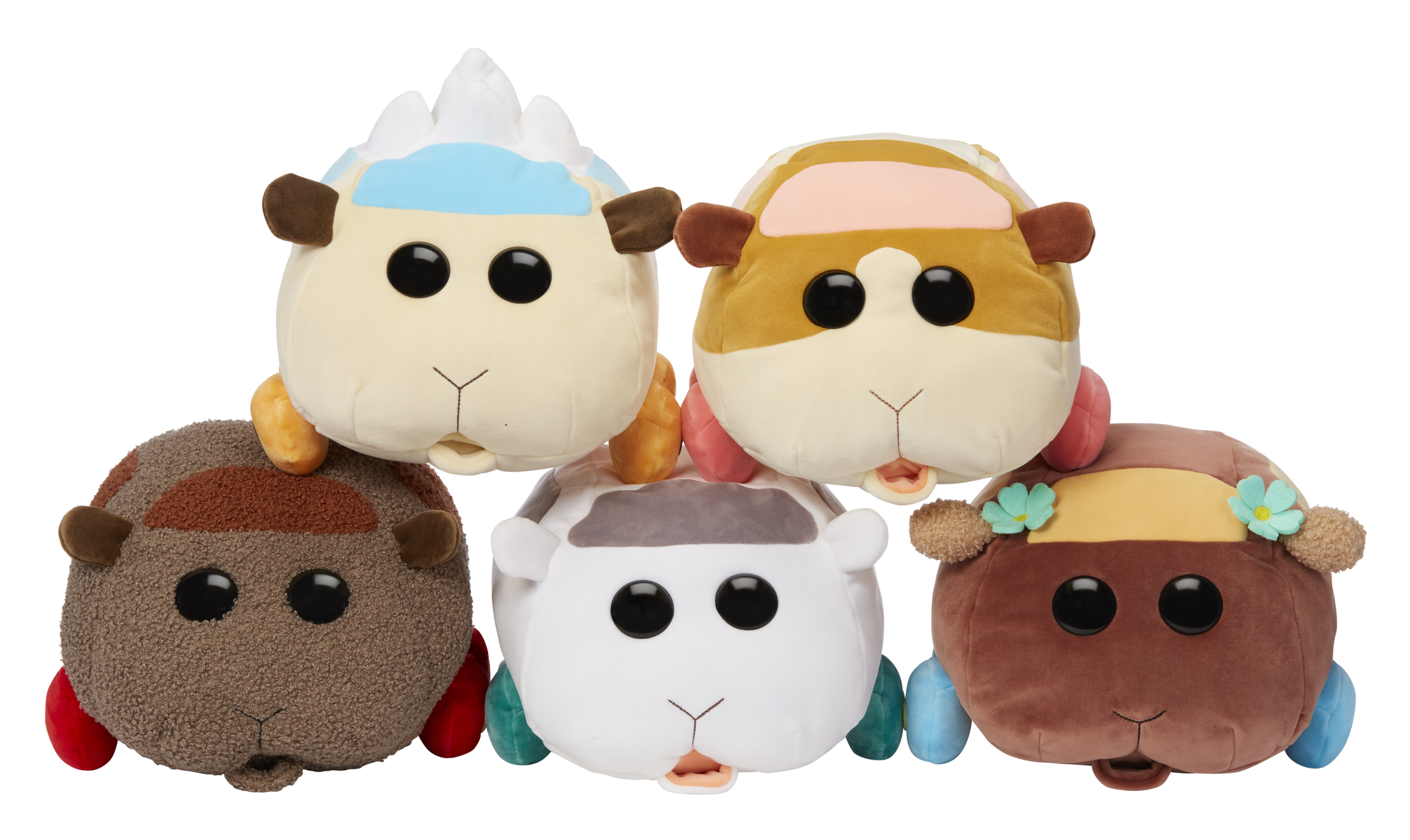 Gruppo di cinque peluche di porcellino d'India in vari colori e pose.