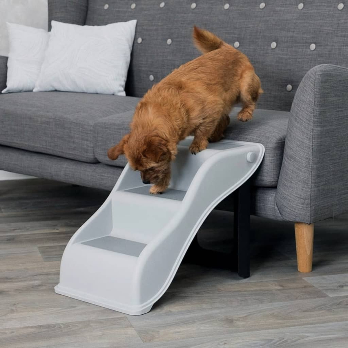 Un perro pequeño en un juego de escaleras grises para mascotas junto a un sofá gris.