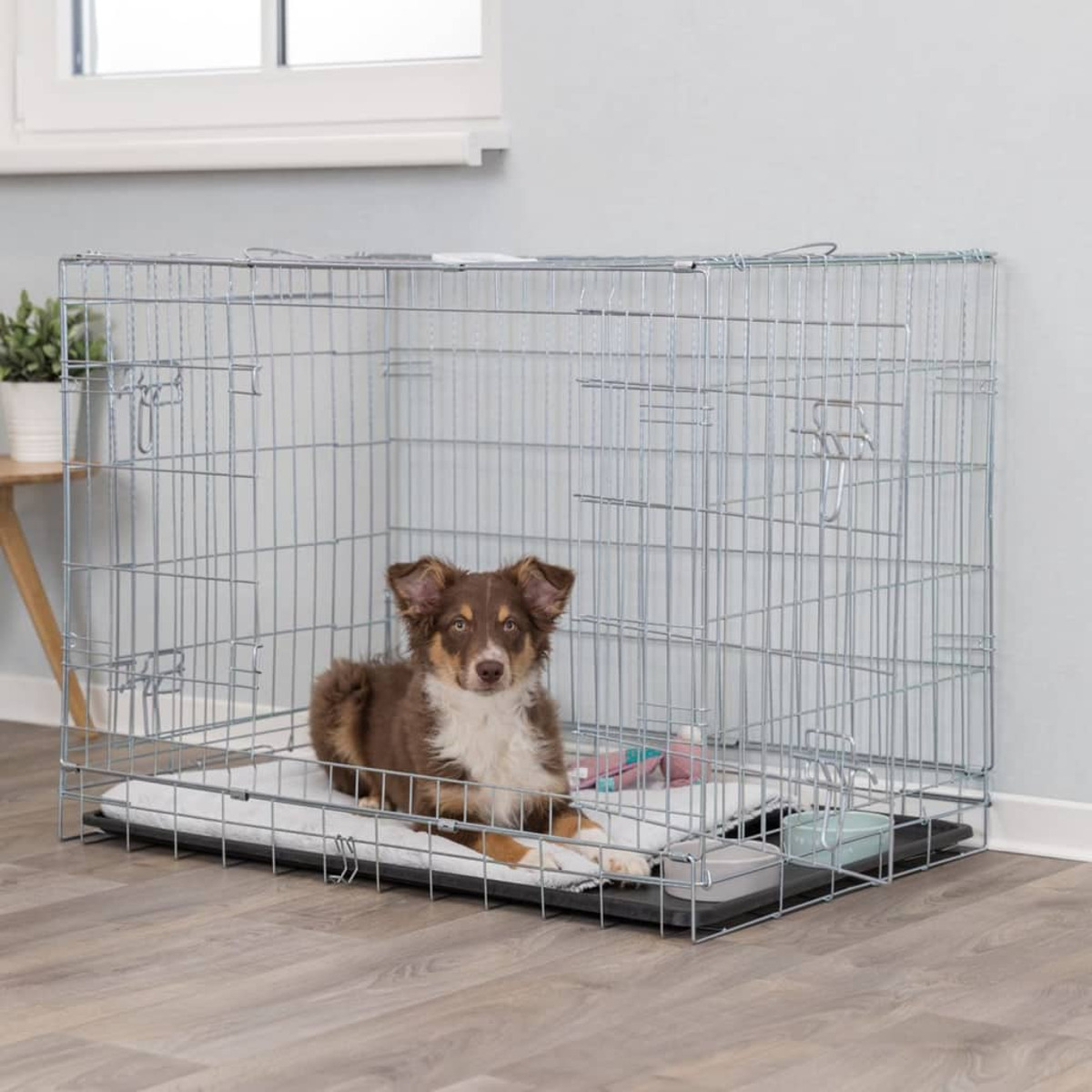 Ein Hund in einem Metallkäfig, auf einer weißen Matte mit einem Spielzeug.