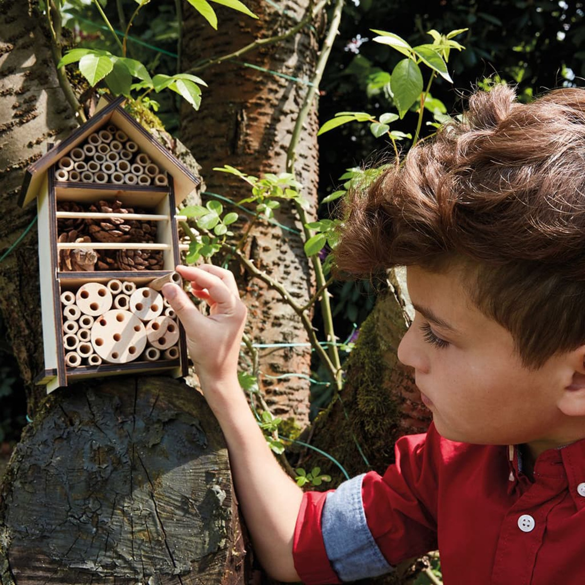 Ein Junge betrachtet ein Insektenhaus aus Holz, das an einem Baumstamm befestigt ist. Das Haus hat mehrere Löcher.