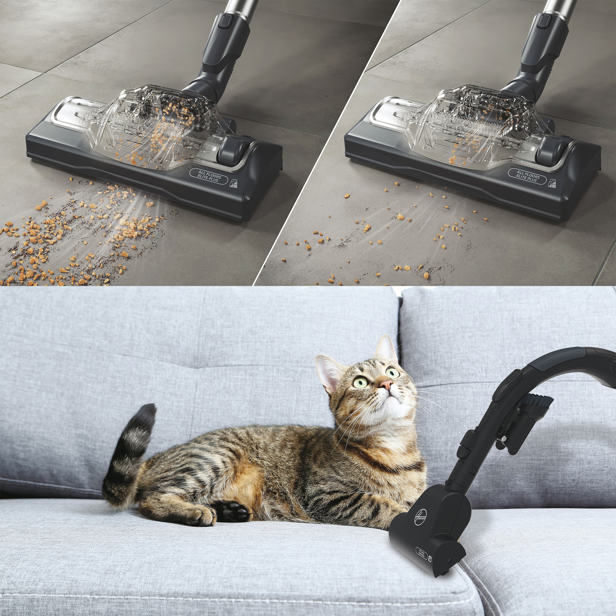 Głowica odkurzacza czyszcząca powierzchnię, pokazująca zanieczyszczenia, kot patrzy w górę.