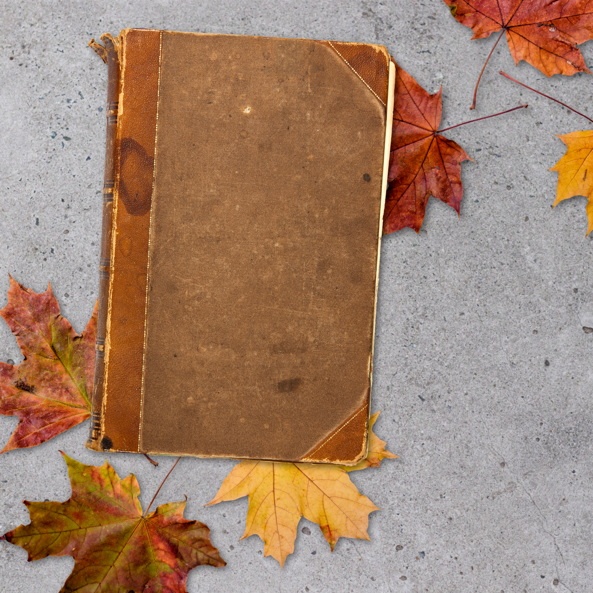 Ein offenes Buch mit braunem Einband, umgeben von bunten Herbstblättern auf grauer Oberfläche.