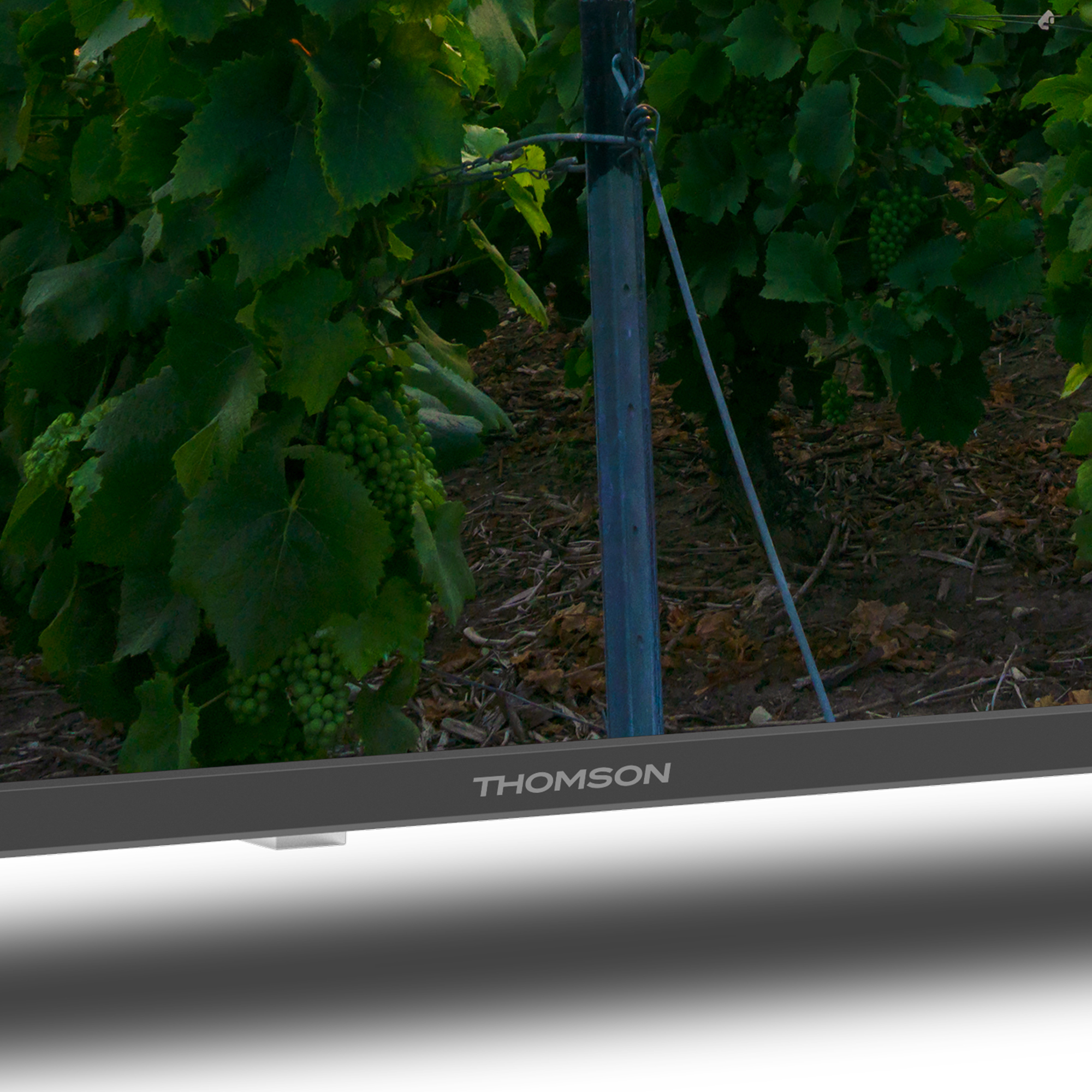 Zbliżenie telewizora z marką THOMSON, z winnicą w tle.