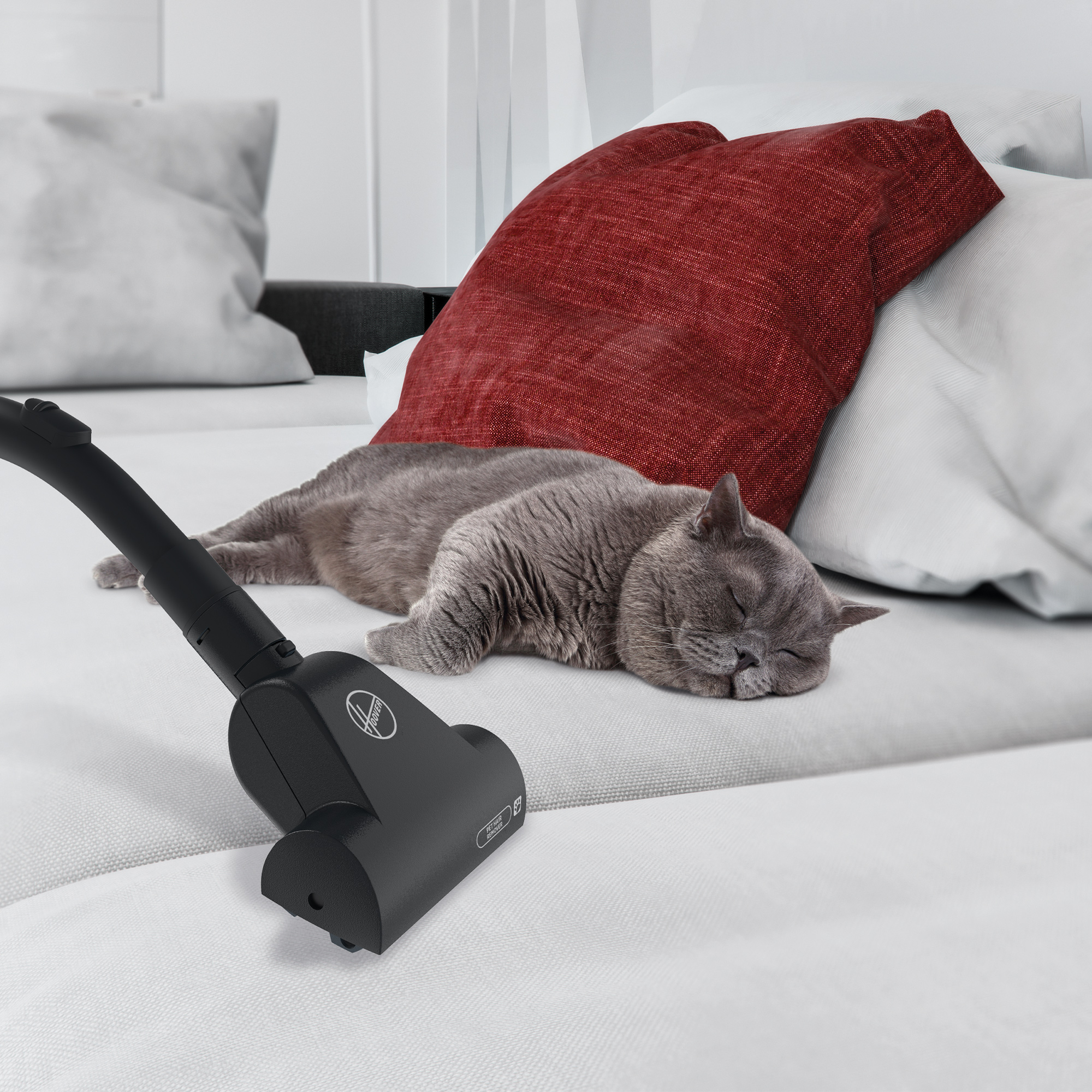 Szary kot śpiący na białej kanapie. W pobliżu znajduje się odkurzacz.