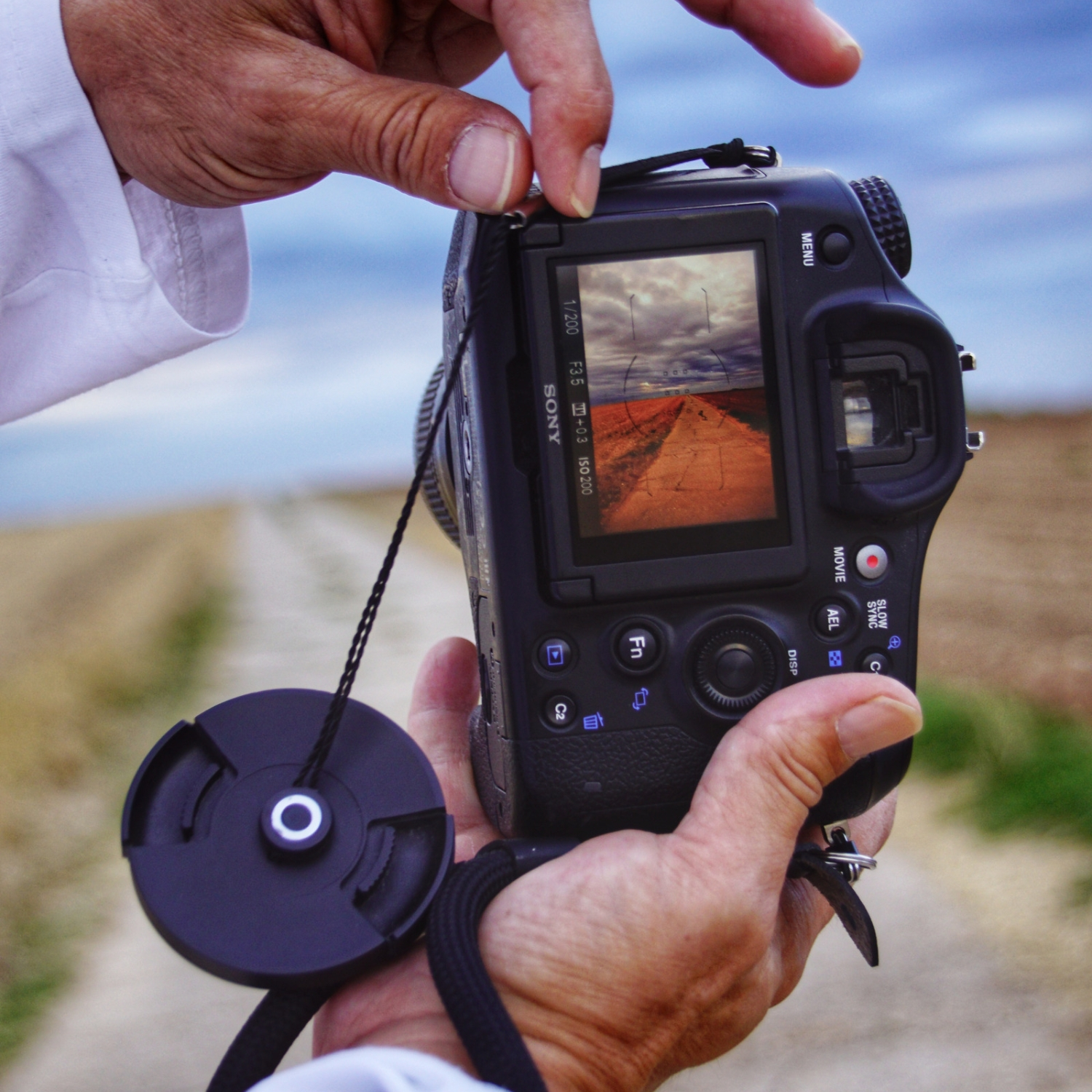 Eine Person, die eine Sony-Kamera hält und ein Landschaftsfoto auf dem Bildschirm anzeigt.