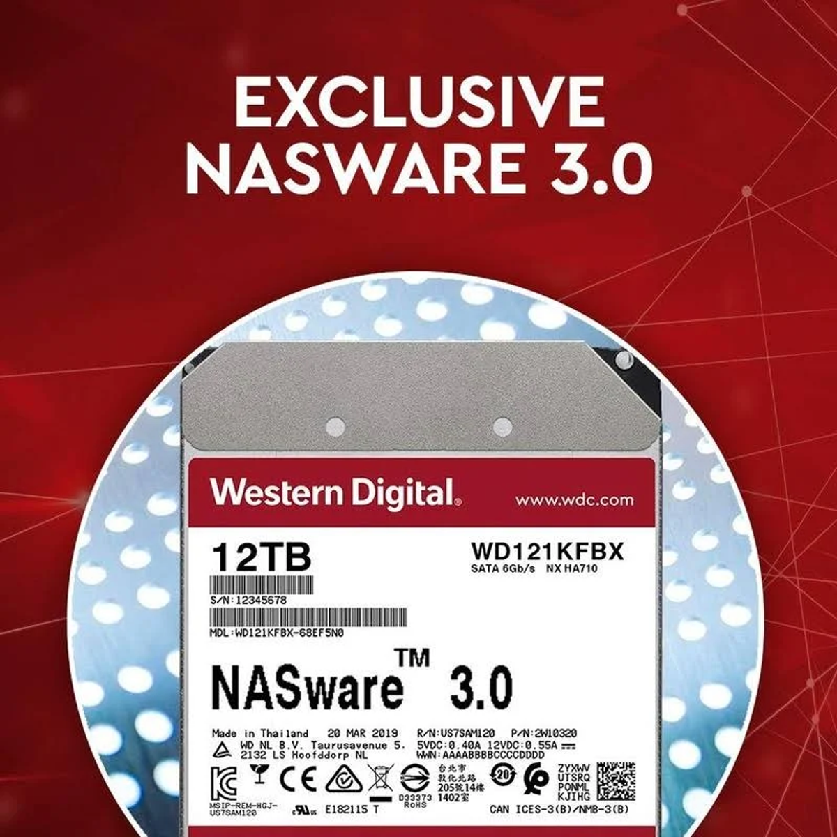 Un'unità NAS Western Digital con l'etichetta '12TB WD121KFBX NASware 3.0' è visibile.