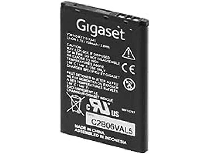 GIGASET V30145-K1310-X445 1 erforderlich mAh (enthalten). Batterien Lithium-Ionen 750 Akkus