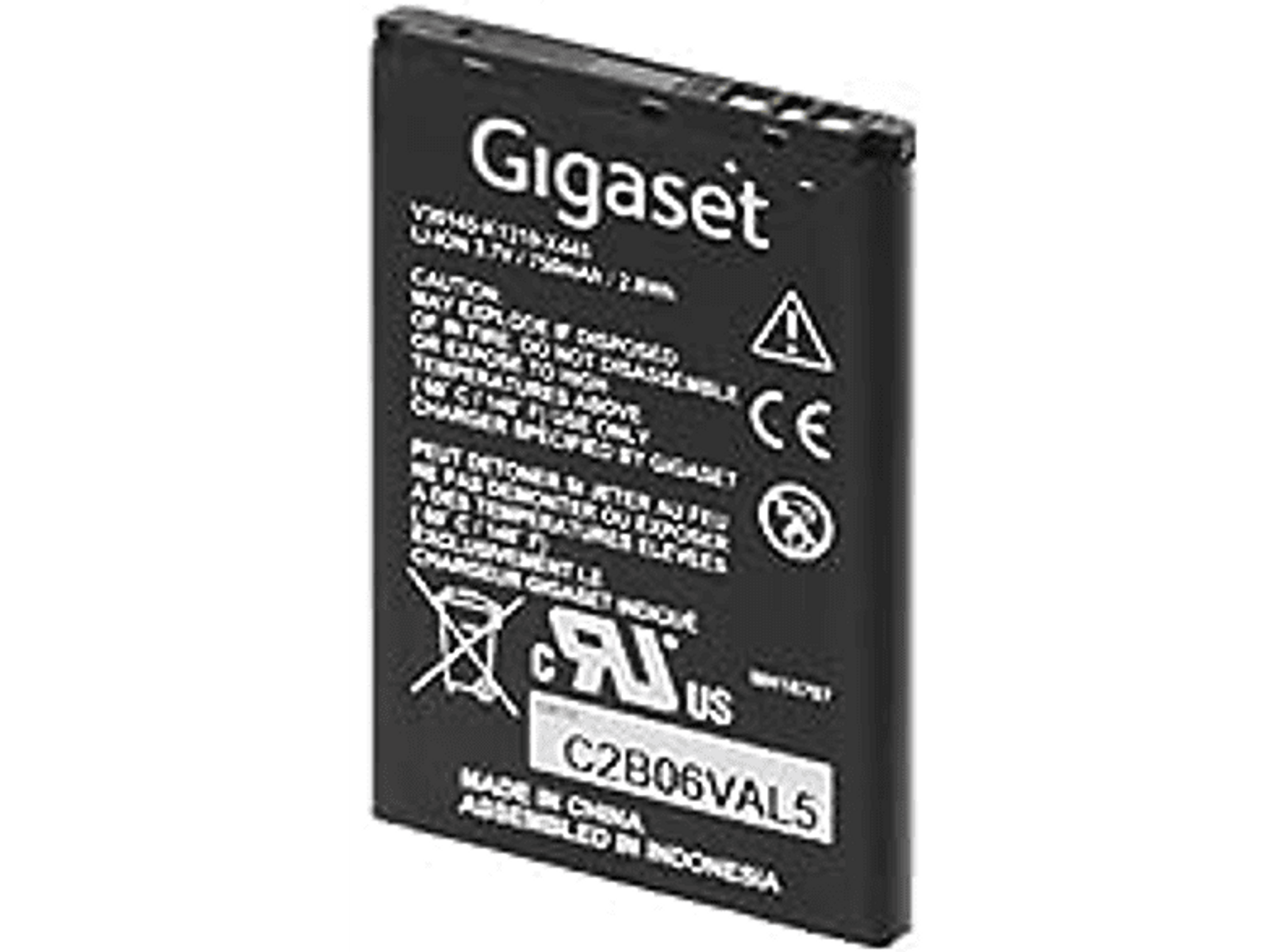 GIGASET V30145-K1310-X445 1 erforderlich mAh (enthalten). Batterien Lithium-Ionen 750 Akkus