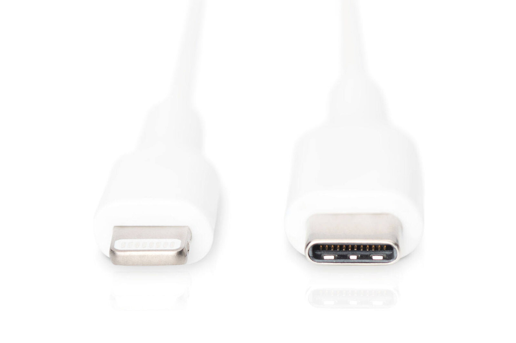 Câble blanc Lightning vers USB-C, avec connecteurs Lightning et USB-C visibles.