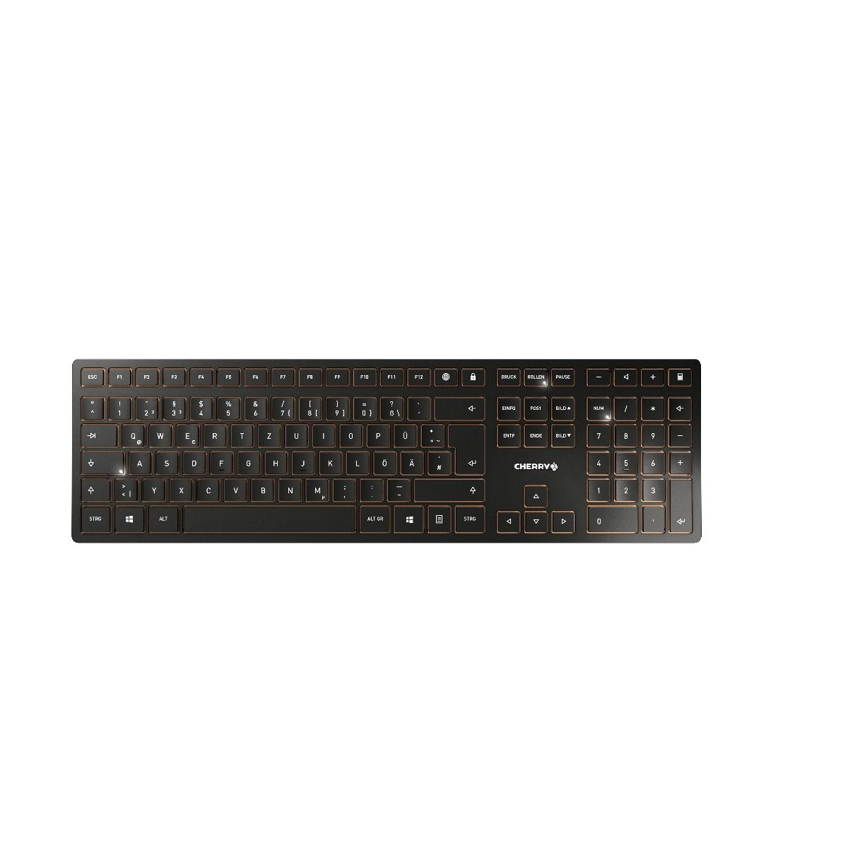 JD-9000CS-2, Schwarz Set, CHERRY Tastatur Maus