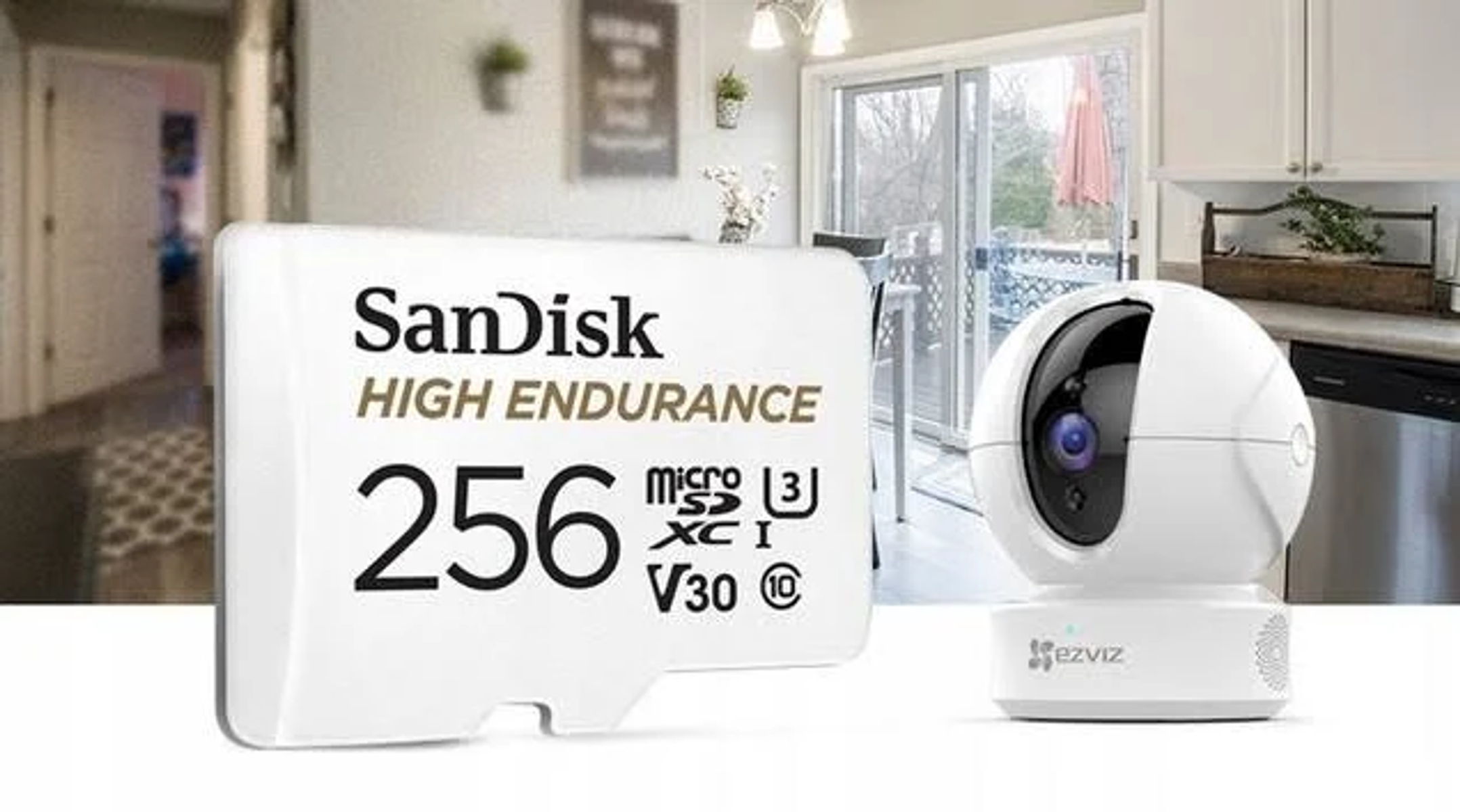 SANDISK SDSQQNR-256G-GN6IA MSDXC HIGH 256 MB/s Speicherkarte, GB, ENDUR, 100 Micro-SD