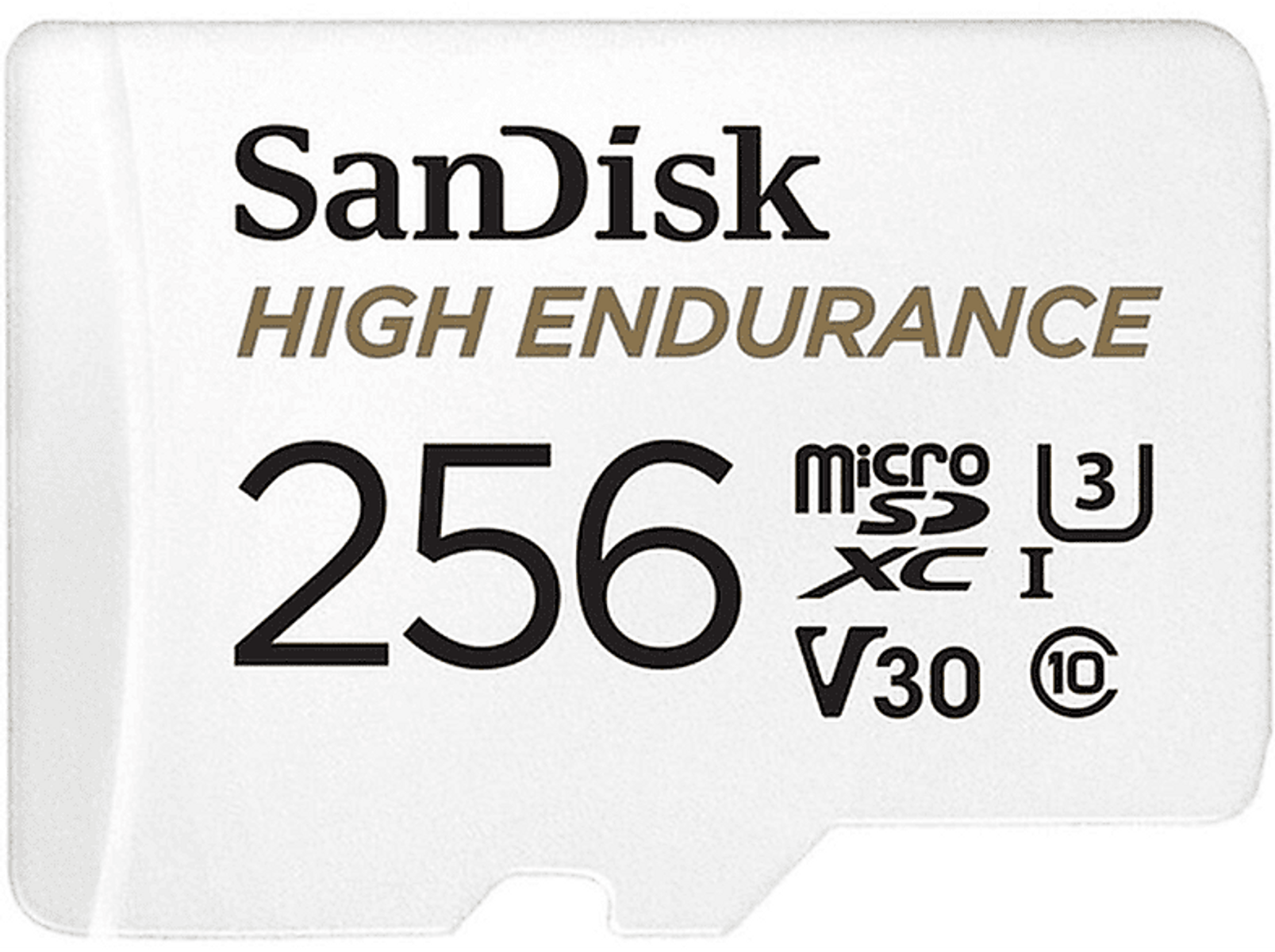 SANDISK MB/s 100 Speicherkarte, ENDUR, Micro-SD 256 GB, SDSQQNR-256G-GN6IA HIGH MSDXC