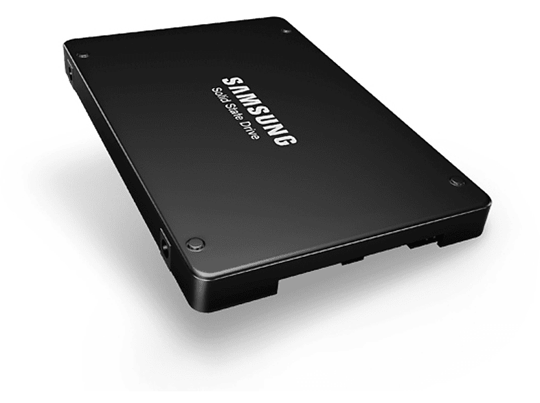 SAMSUNG MZILT3T8HBLS-00007, 3,84 Zoll, intern SSD, 2,5 TB, HDD