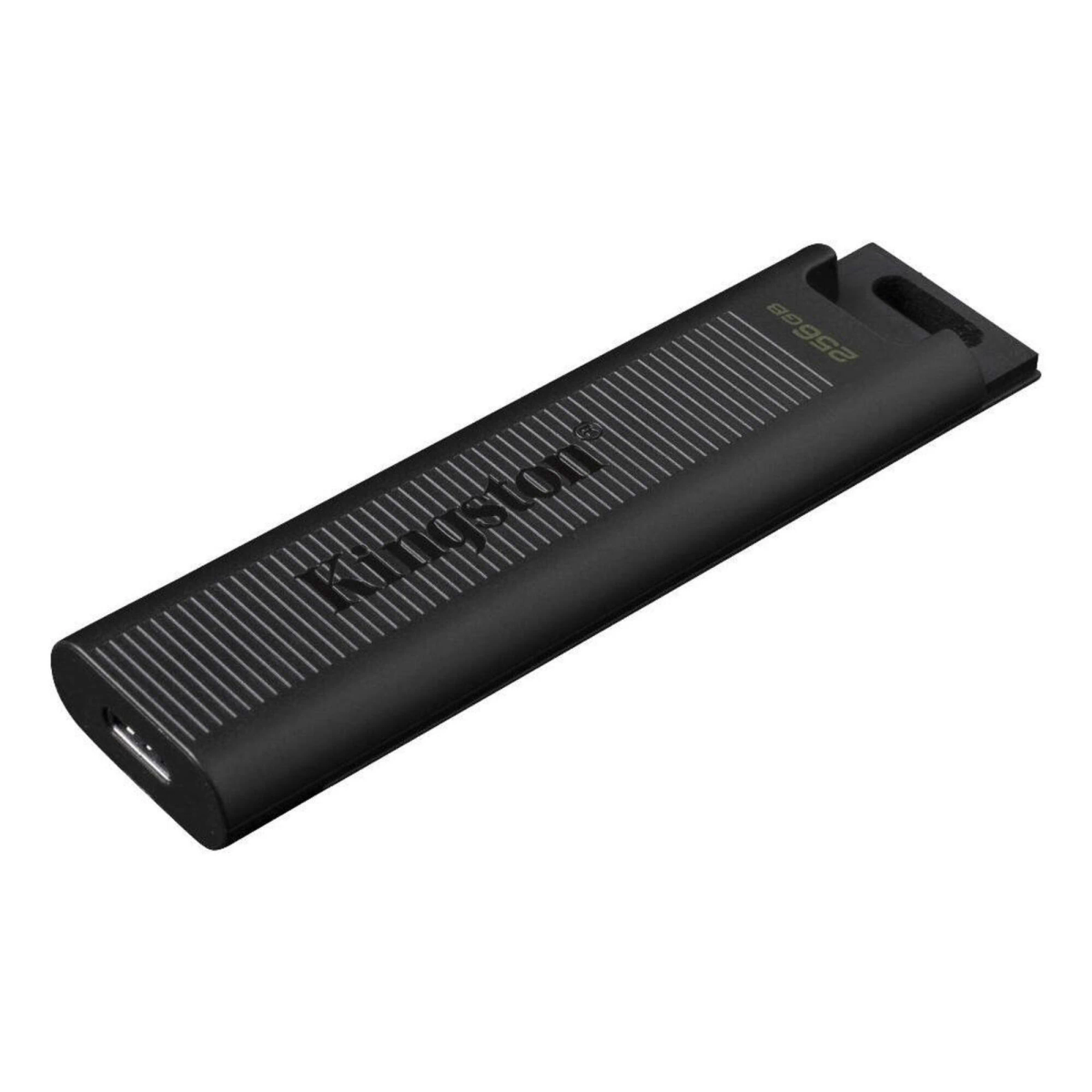 KINGSTON DTMAX/256GB USB Stick GB) (darkslategray, 256