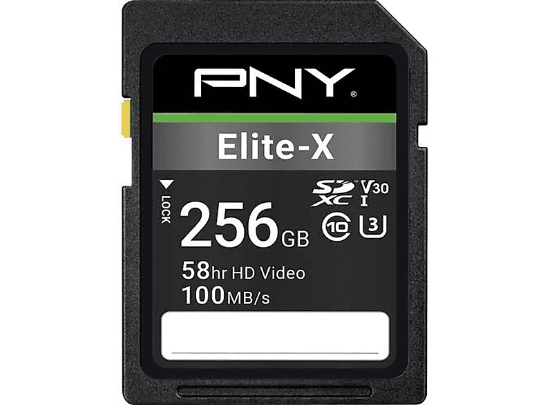 PNY P-SD256U3100EX-GE, Micro-SD, SDHC, SDXC, Speicherkarte, 100 Micro-SDXC, GB, SD 256 MB/s