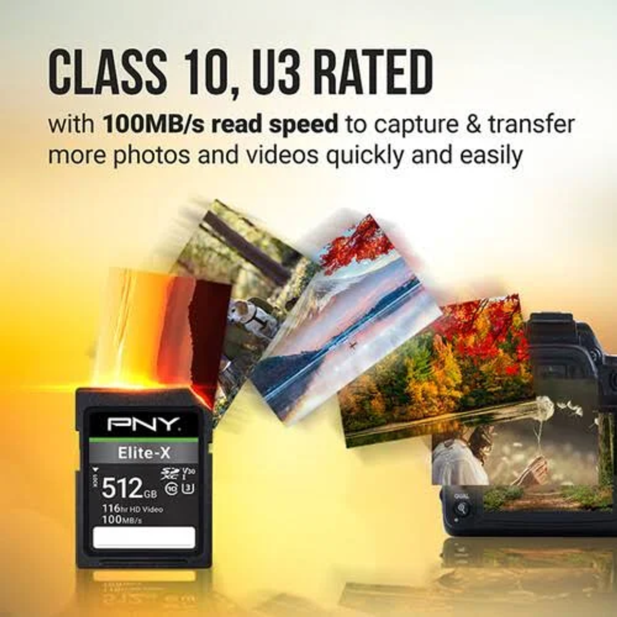PNY 100 Micro-SDXC, 256 MB/s GB, SDHC, SDXC, P-SD256U3100EX-GE, Speicherkarte, Micro-SD, SD