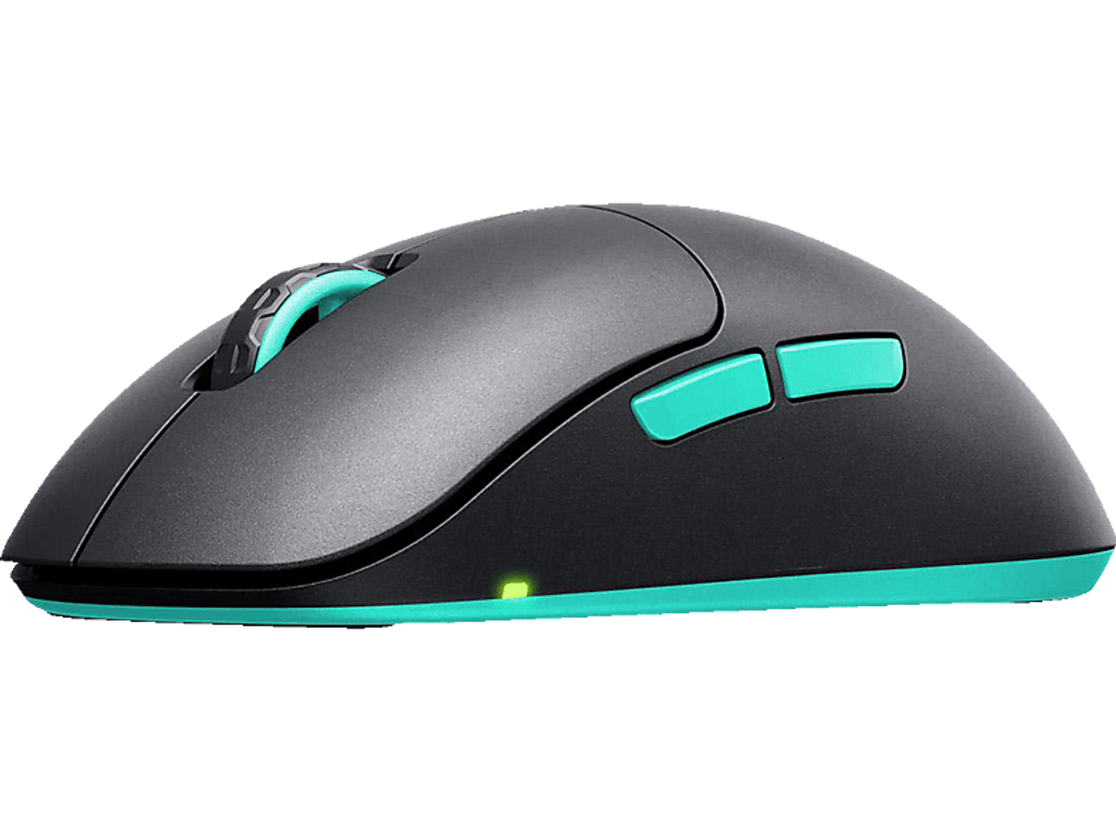 Ciemnoszara mysz z turkusowymi akcentami.