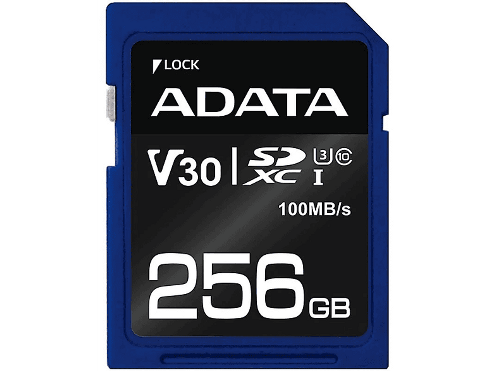 Scheda SD blu e nera con testo bianco.