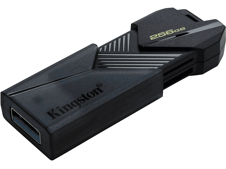 KINGSTON DTXON/256GB USB-Flash-Laufwerk (Schwarz, 256 GB)