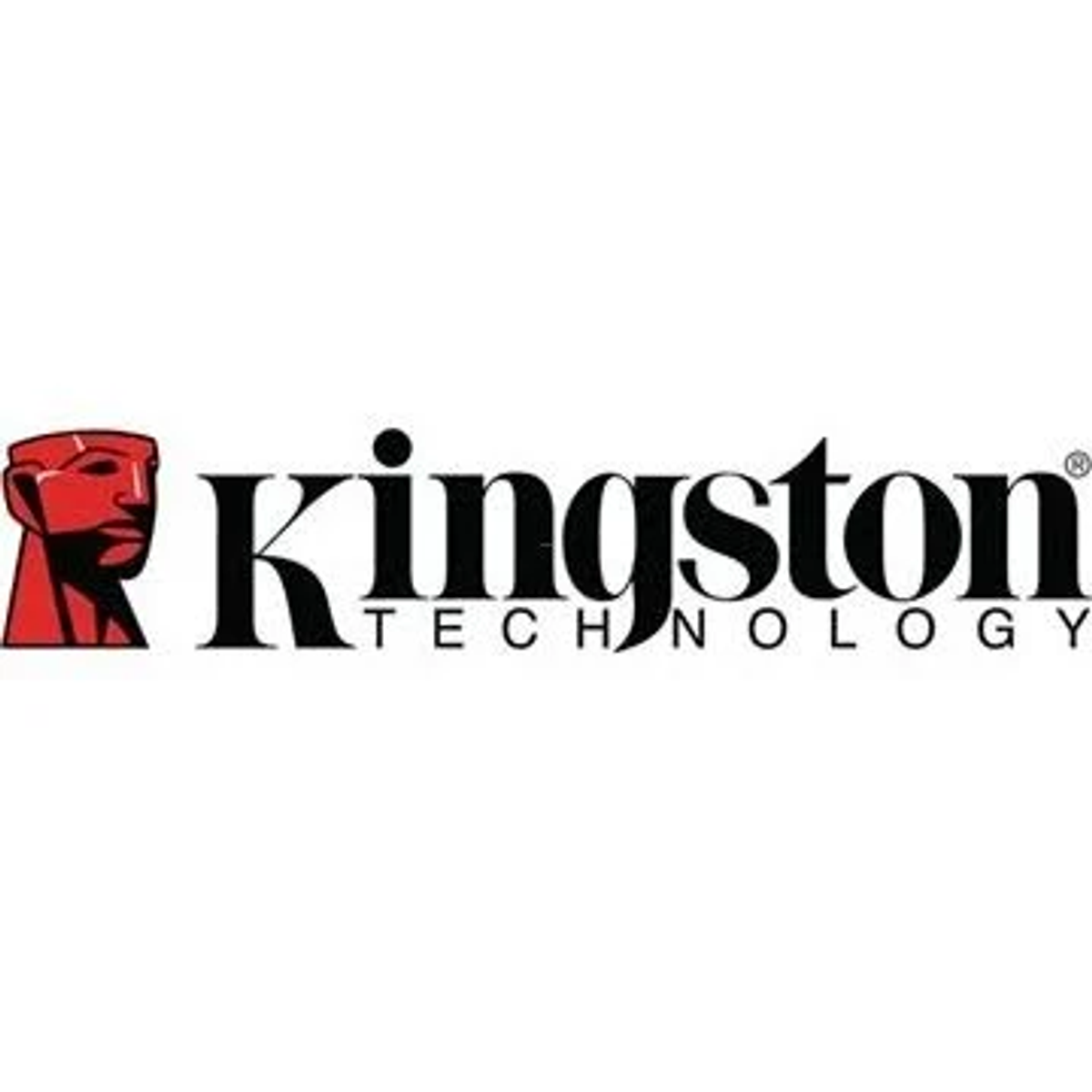 KINGSTON DTXON/256GB USB-Flash-Laufwerk 256 (Schwarz, GB)