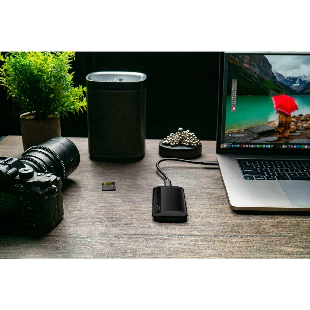 Laptop, aparat, głośnik, karta SD i dysk zewnętrzny na drewnianym biurku. Zielona roślina.