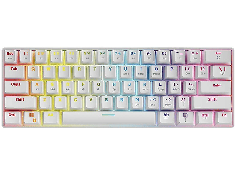 SAVIO WHITEOUT BROWN, Tastatur | Tastaturen