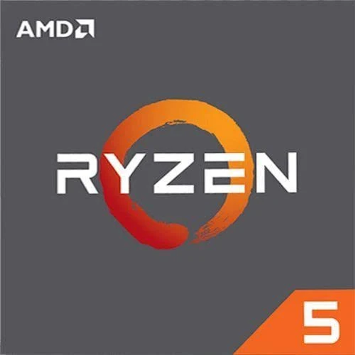 AMD 100-000000252-2 Schwarz Prozessor,