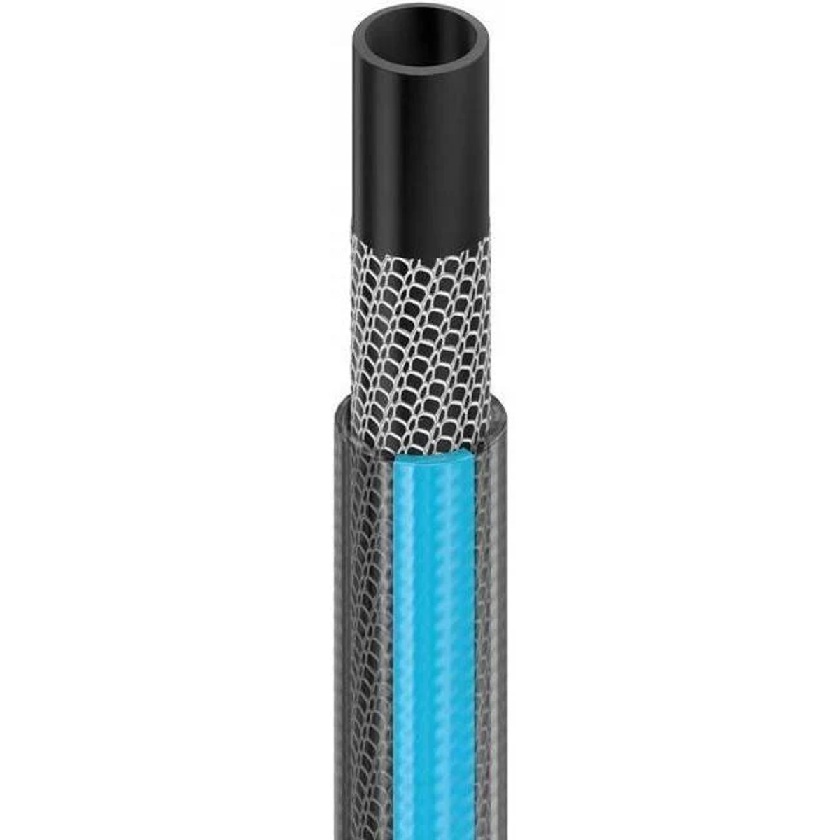 Fragment węża z niebieskimi i czarnymi warstwami oraz siatkowym wzorem.