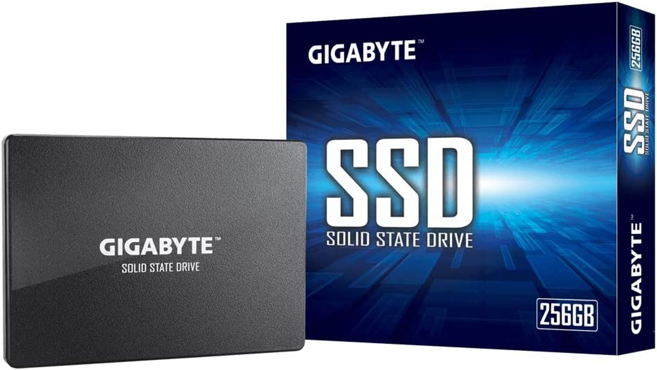 GIGABYTE GP-GSTFS31256GTND, 256 GB, SSD, Zoll, 2,5 intern