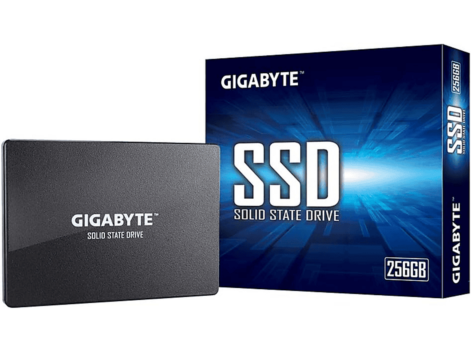 GB, GP-GSTFS31256GTND, 2,5 intern GIGABYTE SSD, 256 Zoll,