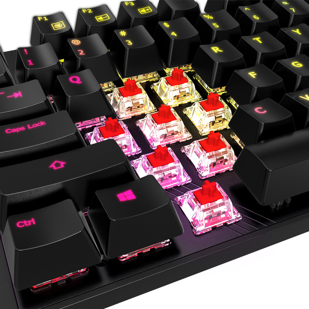 GK-AORUS GIGABYTE Gaming K1, Tastatur