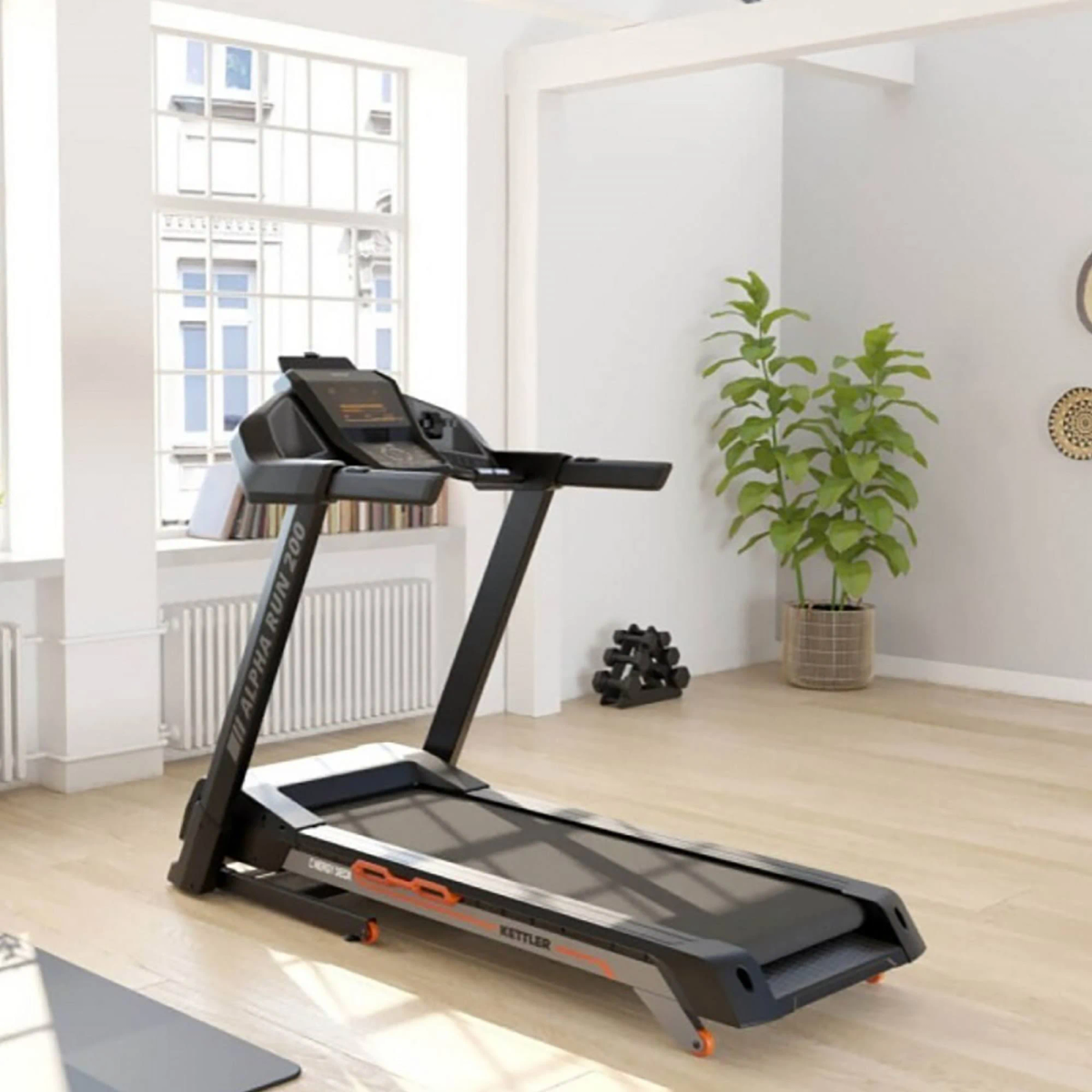 Tapis roulant in una stanza luminosa con pianta e finestra. Pavimento in legno.