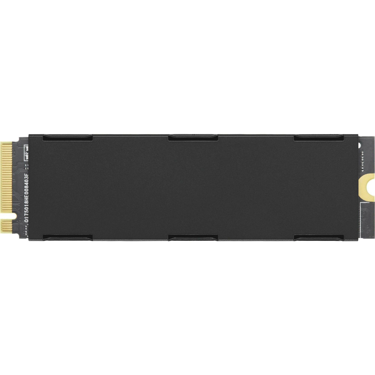 SSD M.2 con corpo nero e connettore dorato. È un piccolo dispositivo rettangolare.