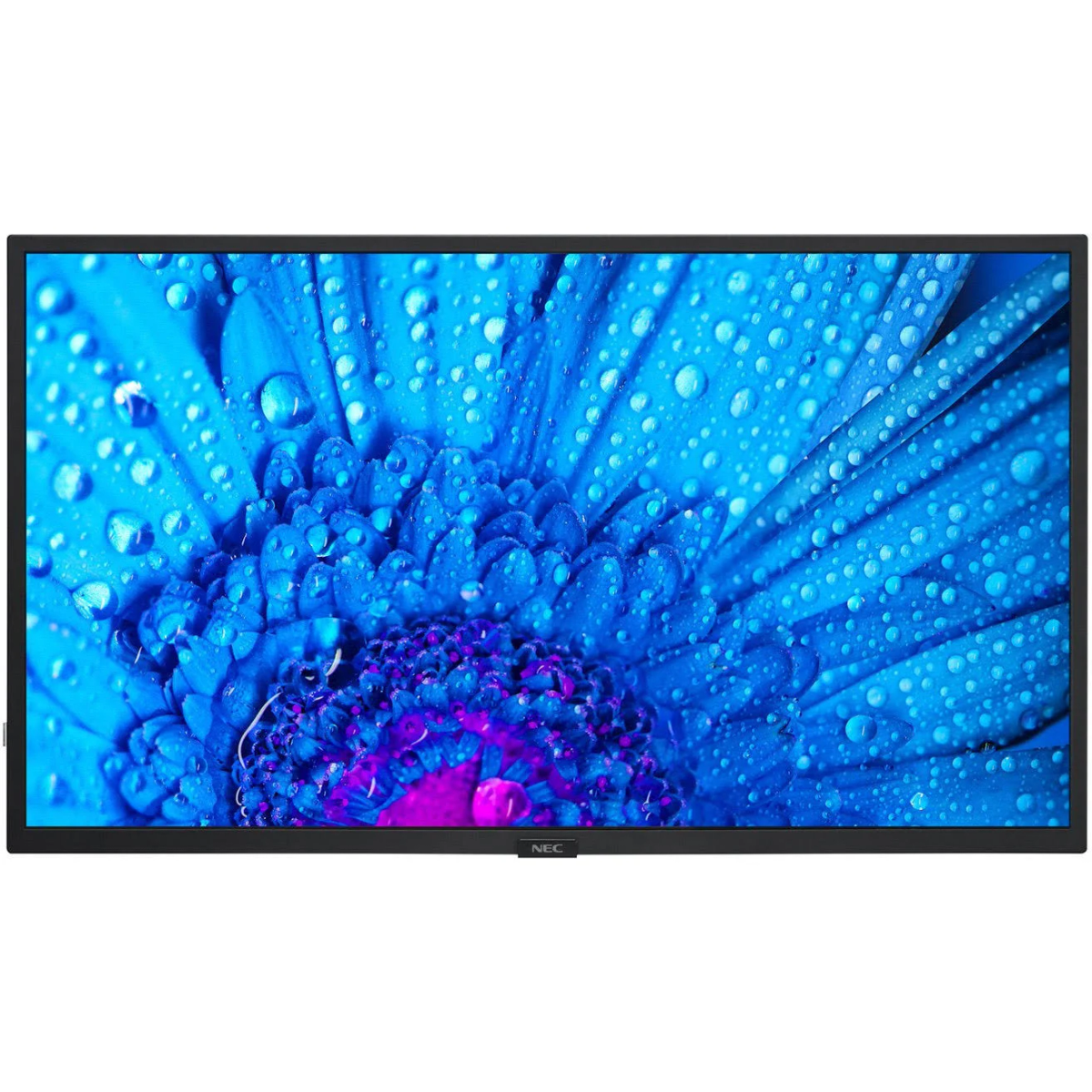Un gran monitor de computadora negro que muestra una flor azul con gotas de agua.