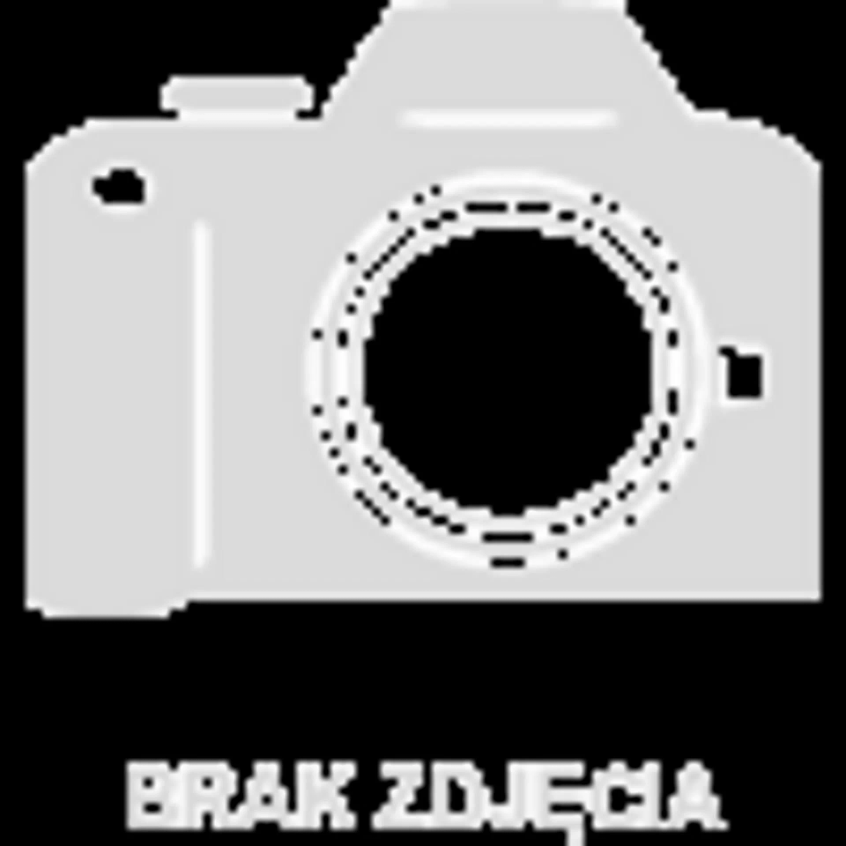 Kamera-Symbol, schwarzer Hintergrund, Text 'BRAK ZDJĘCIA'. Bedeutung: Kein Foto.