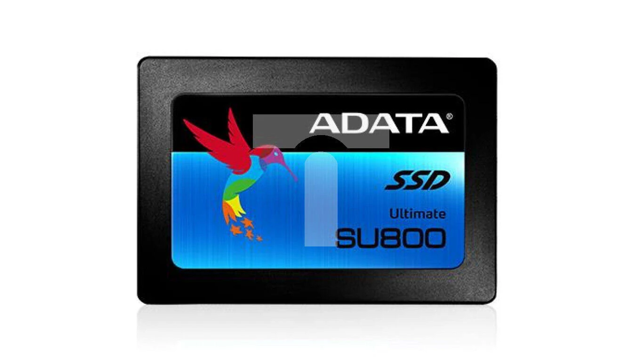 Czarny dysk SSD ADATA z logo kolibra i niebieskim tłem.