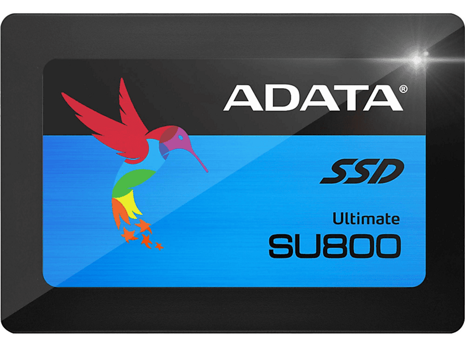 GB, Zoll, 256 intern ASU800SS-256GT-C, SSD, ADATA 2,5 HDD,