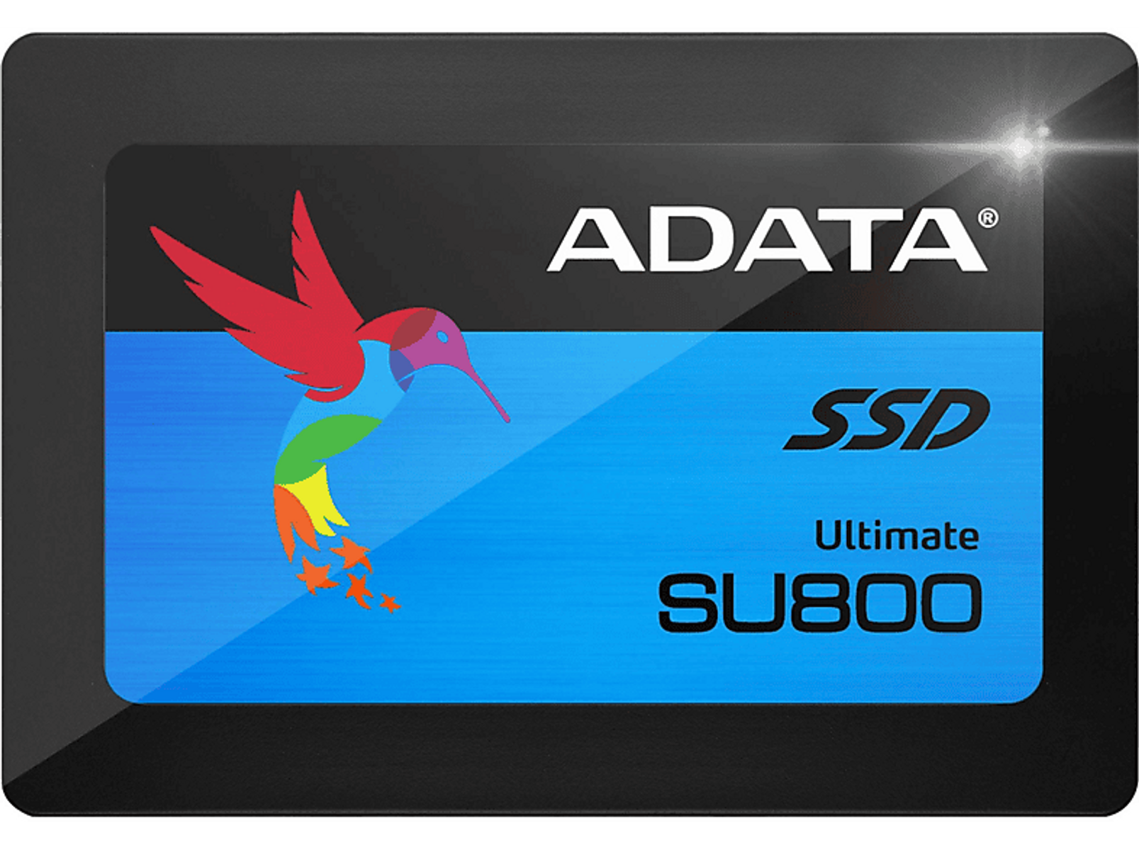 Czarny dysk SSD z logo kolibra. Logo na niebieskim gradiencie. Widoczny tekst 'ADATA SSD Ultimate SU800'.