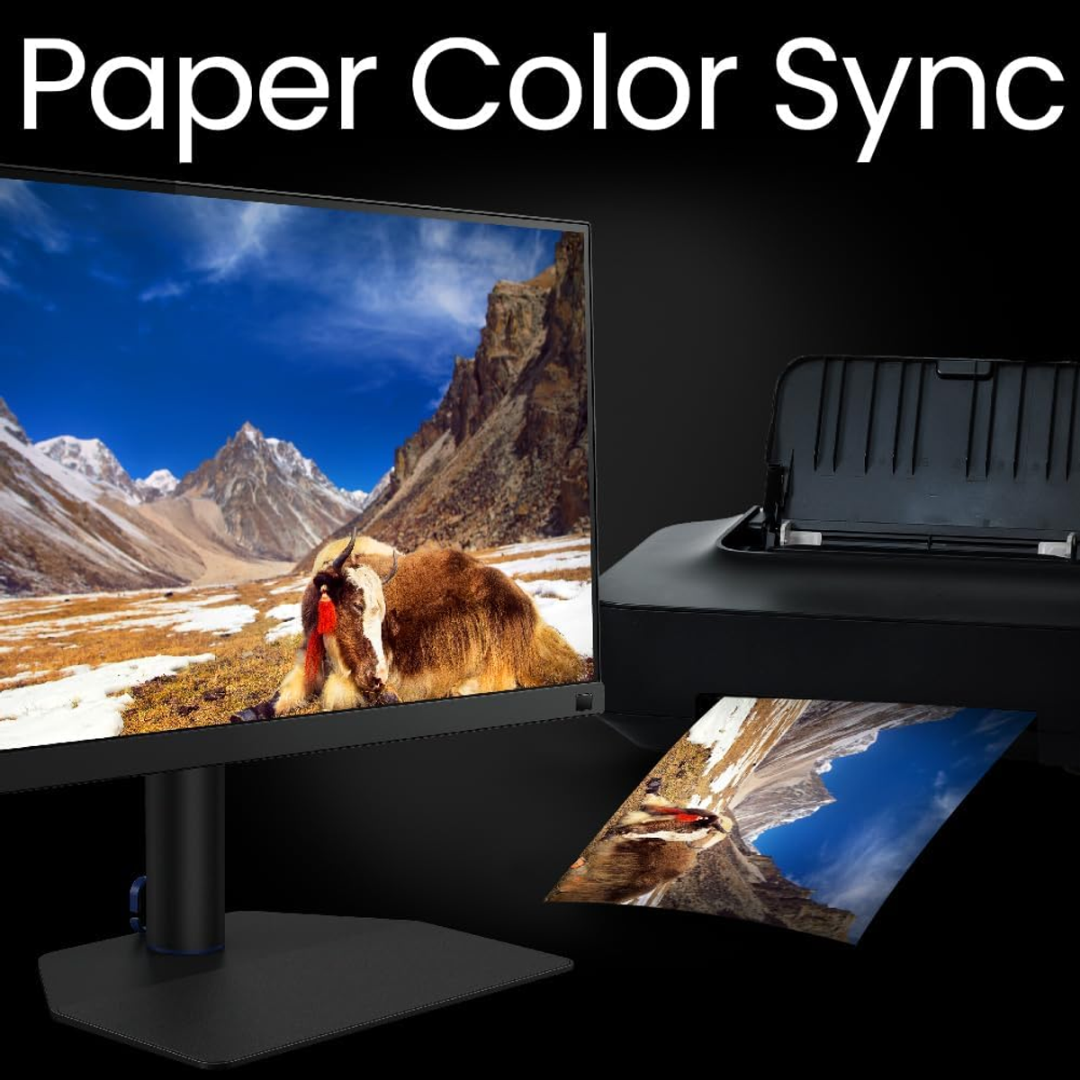 BENQ SW272U Monitor Gaming, 27 ", UHD 4K, 3840 x 2160 Pixel, tempo di risposta 5 ms, refresh rate 60 Hz