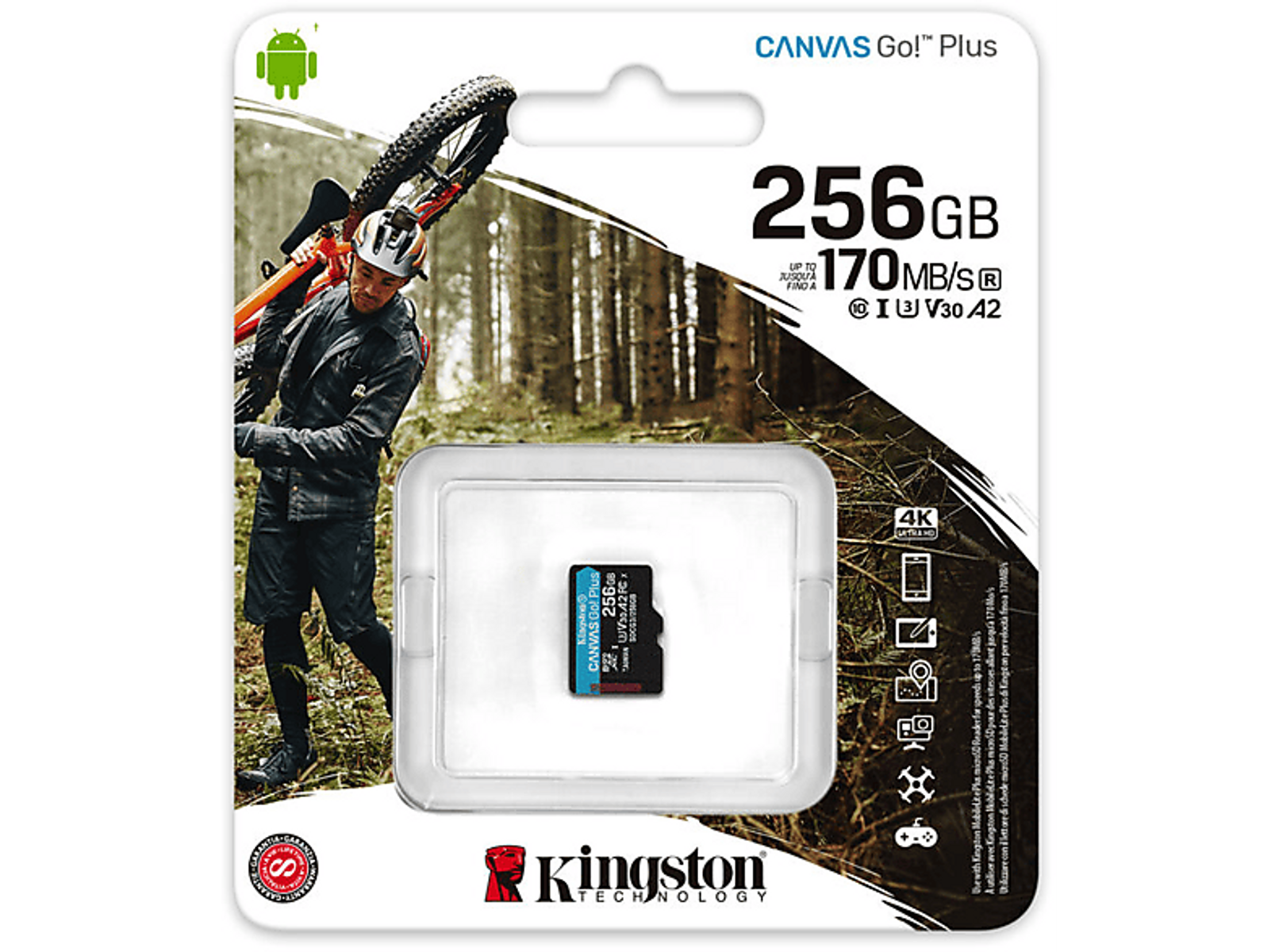 256 KINGSTON Micro-SD MB/s Speicherkarte, SDCG3/256GBSP, 170 GB,