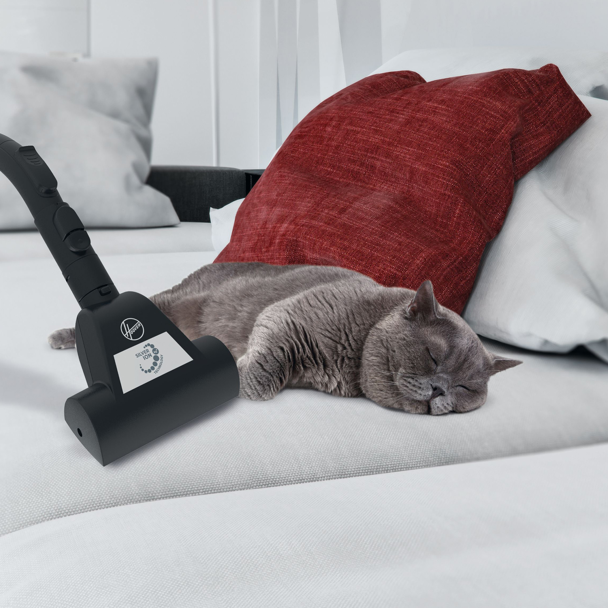 Gatto che dorme su un divano bianco con cuscino rosso. Aspirapolvere nelle vicinanze. Gatto grigio.