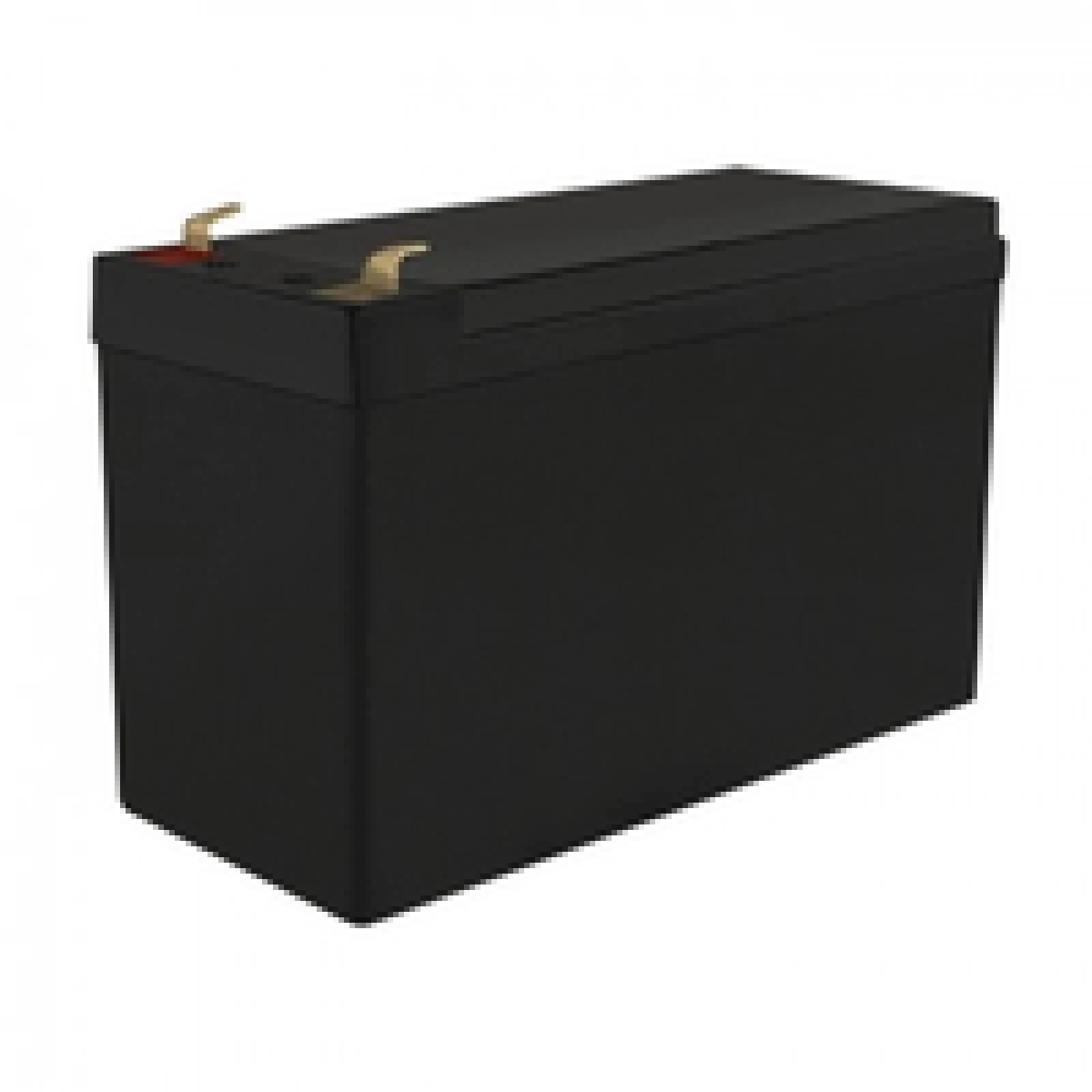 Schwarze, rechteckige Batterie mit goldenen Anschlüssen, vor schlichtem, weißem Hintergrund.