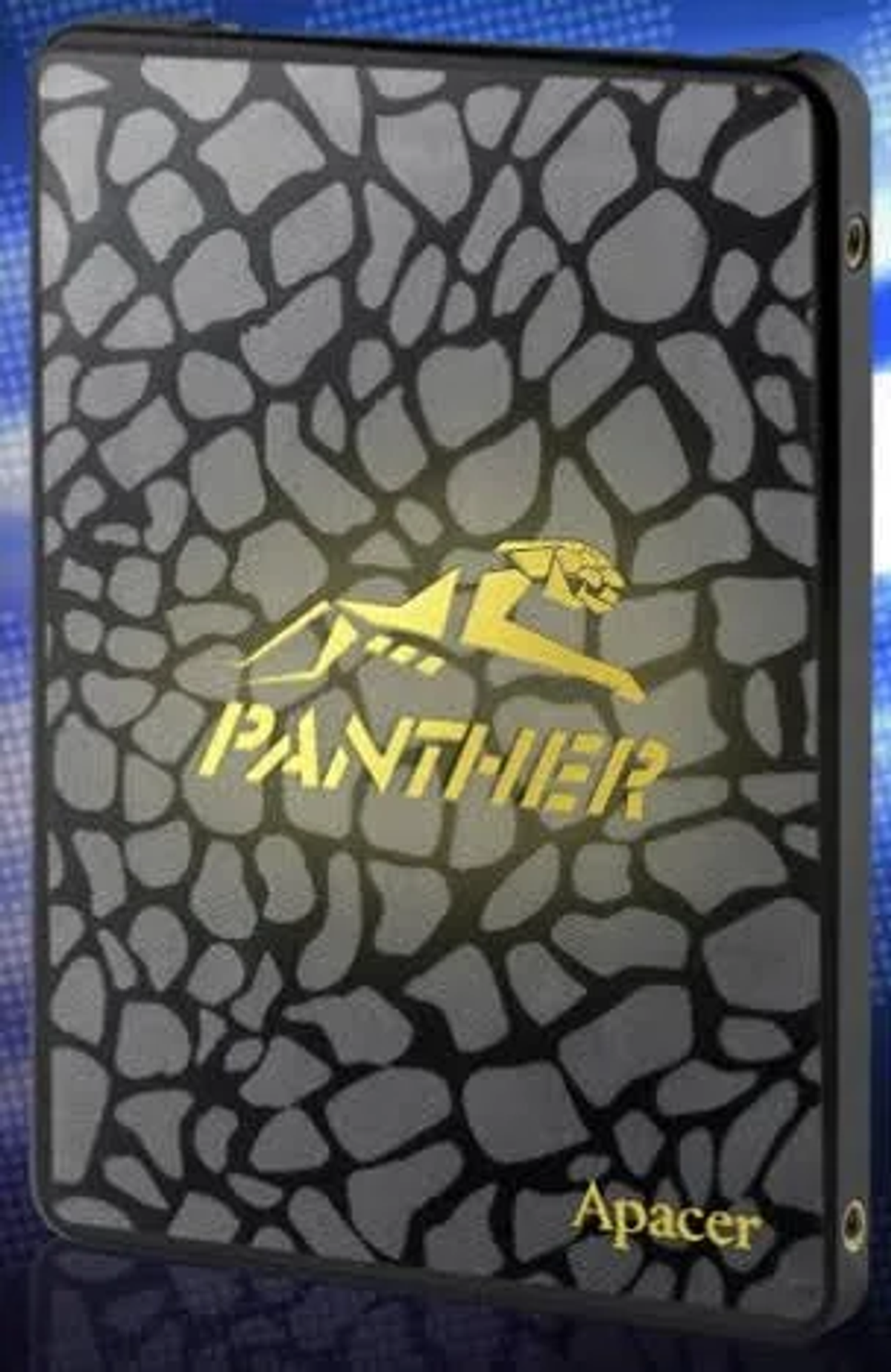 Altın 'PANTHER' logosuna sahip siyah harici sabit disk. Kasa desenli bir yüzeye sahip.