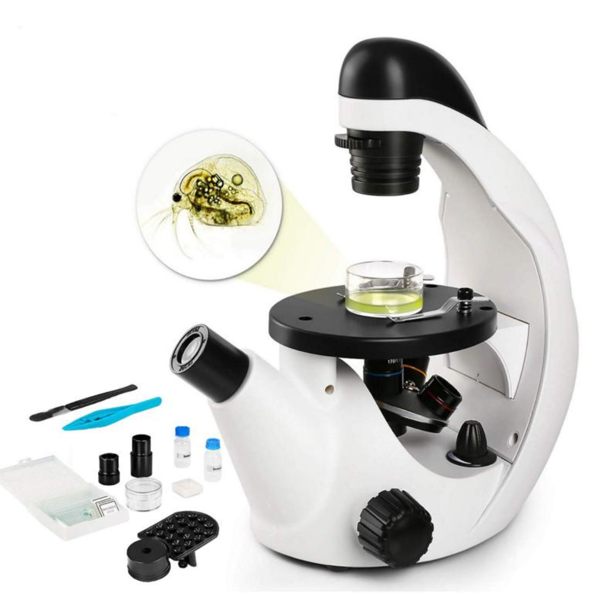 Weiß Microscope Mikroskop, TELMU